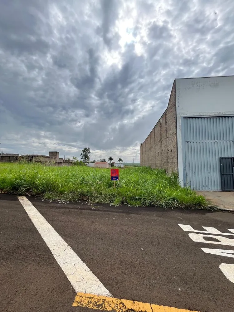 Terreno, 250 m² - Foto 4