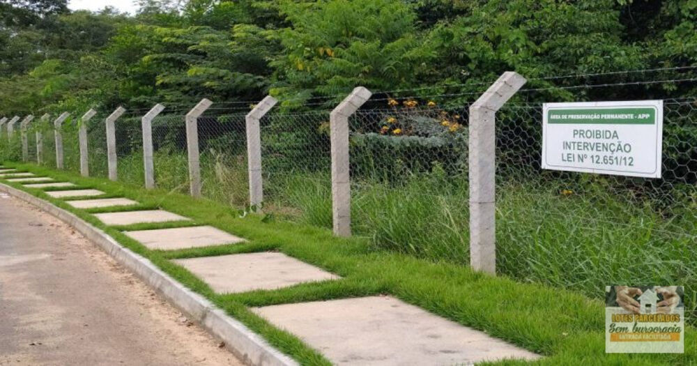 Terreno, 300 m² - Foto 6