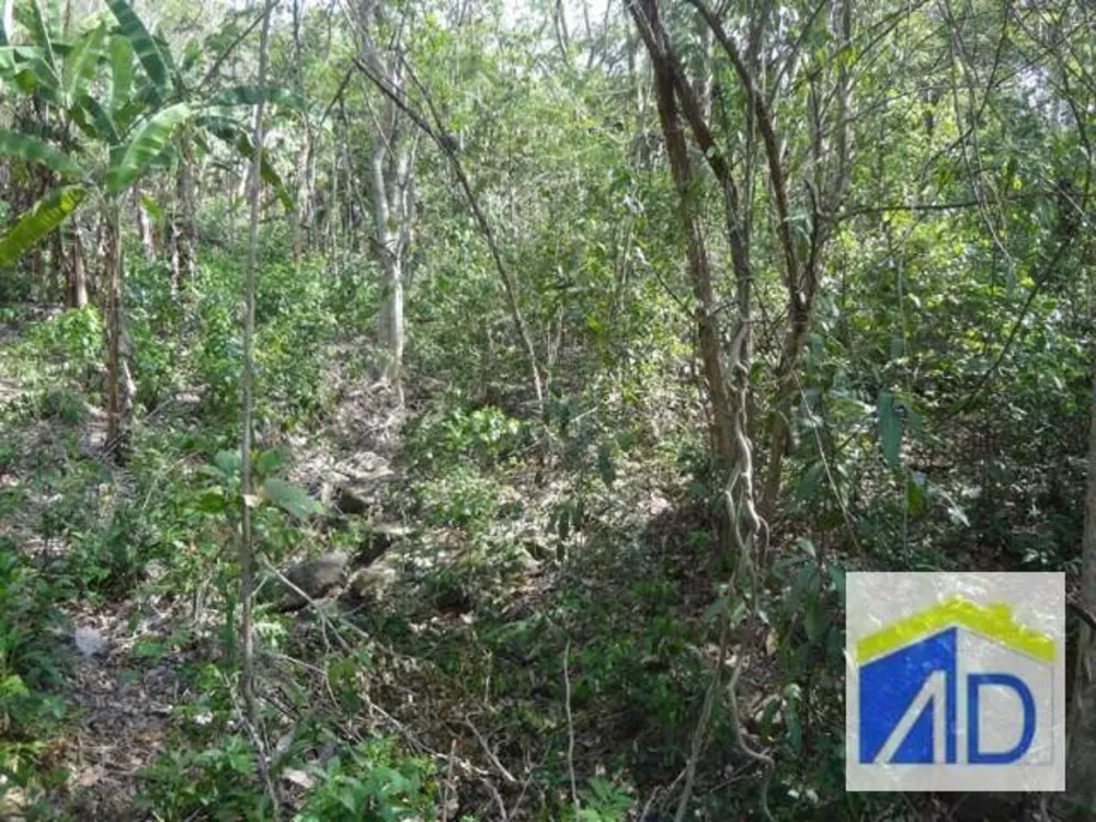 Loteamento e Condomínio, 5 hectares - Foto 1