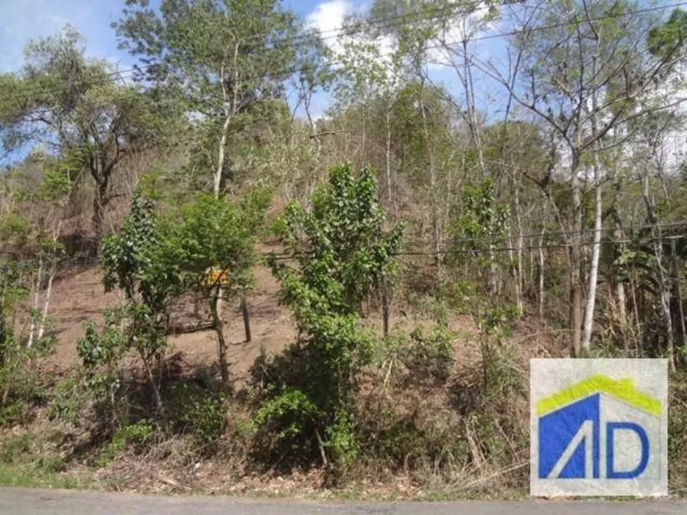 Loteamento e Condomínio, 5 hectares - Foto 5