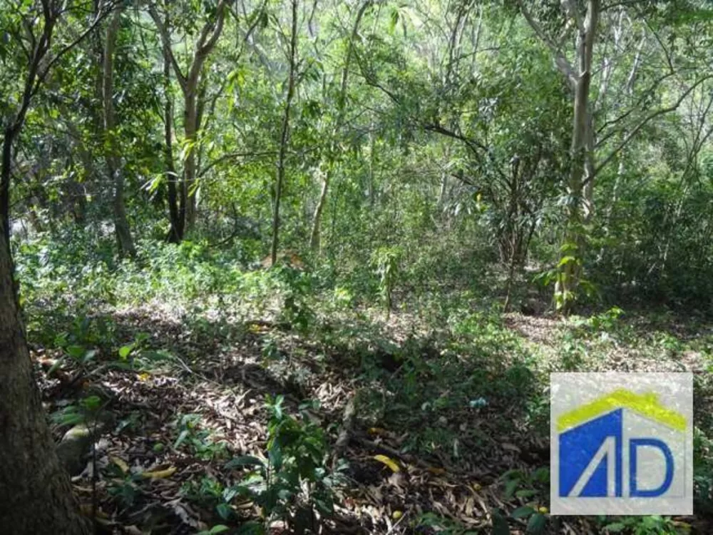 Loteamento e Condomínio, 5 hectares - Foto 3