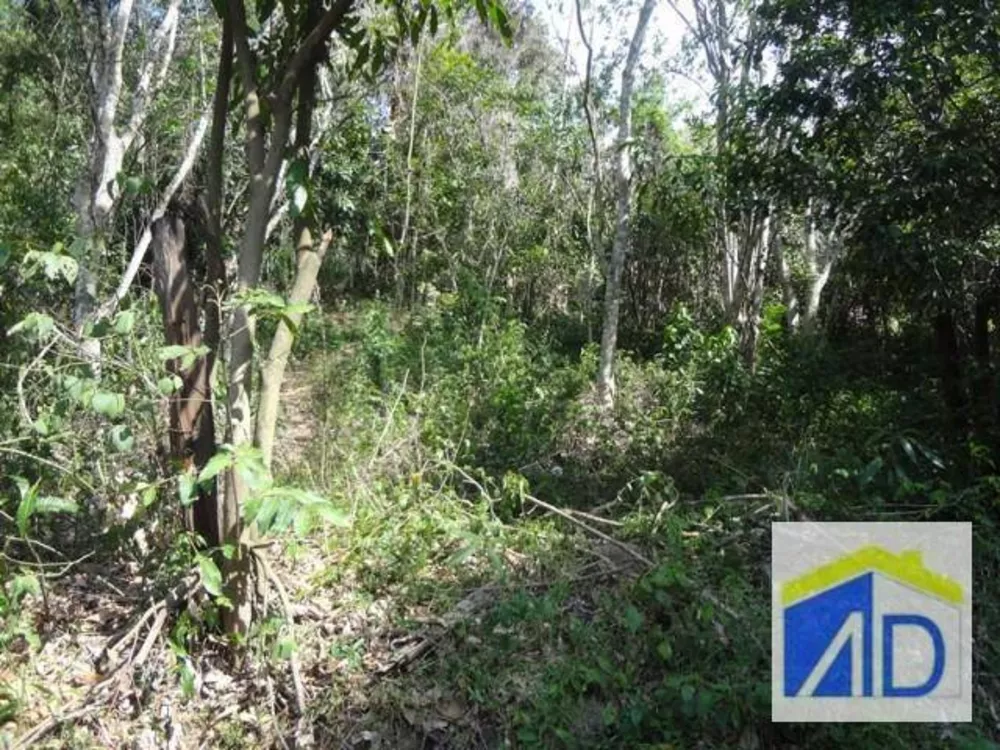 Loteamento e Condomínio, 5 hectares - Foto 9