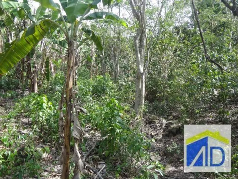 Loteamento e Condomínio, 5 hectares - Foto 2