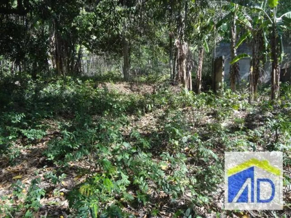 Loteamento e Condomínio, 5 hectares - Foto 11