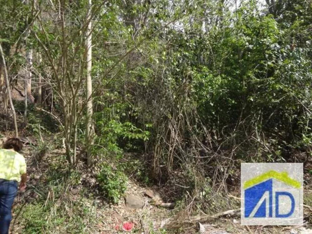 Loteamento e Condomínio, 5 hectares - Foto 8