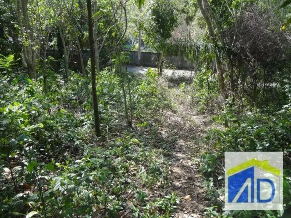 Loteamento e Condomínio, 5 hectares - Foto 4