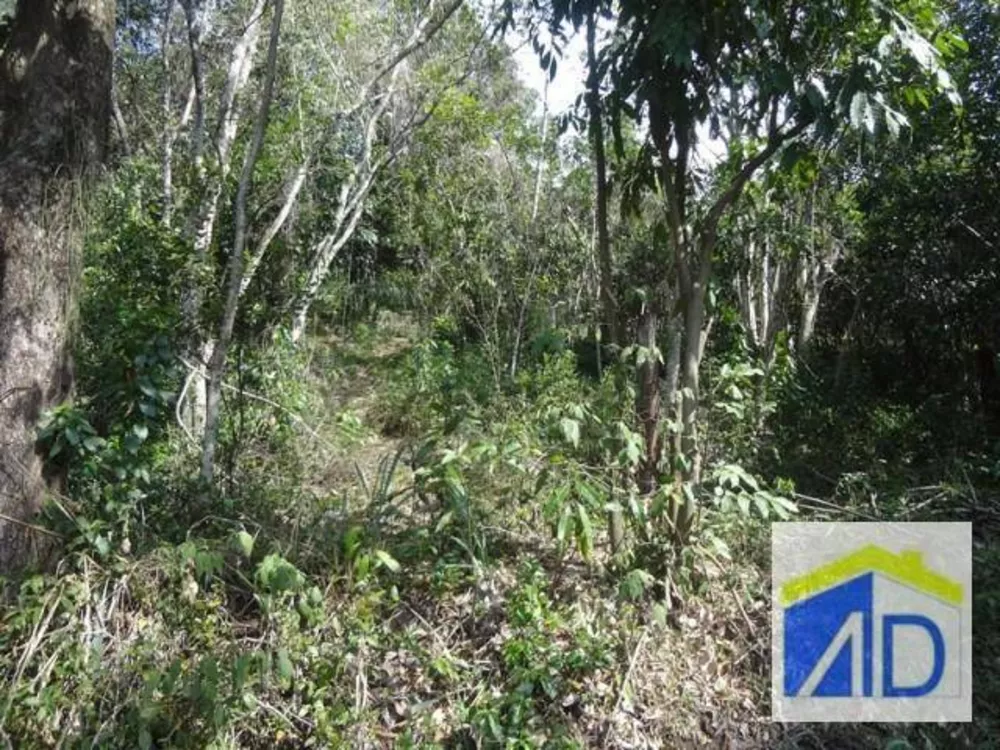 Loteamento e Condomínio, 5 hectares - Foto 12