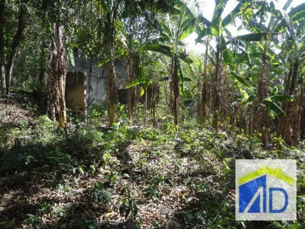 Loteamento e Condomínio, 5 hectares - Foto 6