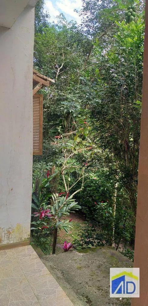 Sítio, 4 quartos, 2600 m² - Foto 36