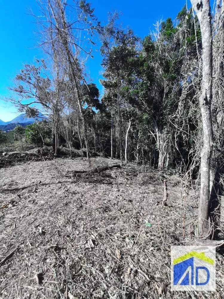 Terreno, 1128 m² - Foto 3