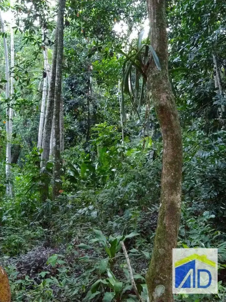 Loteamento e Condomínio, 3200 m² - Foto 4