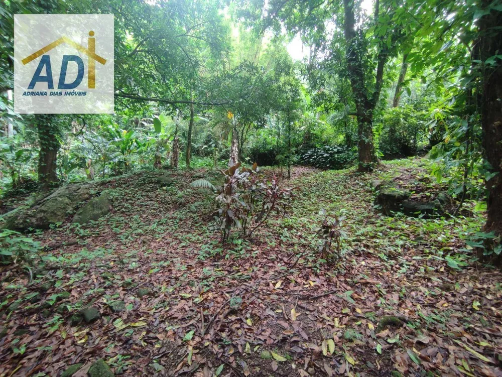 Sítio, 1 quarto, 6000 m² - Foto 28