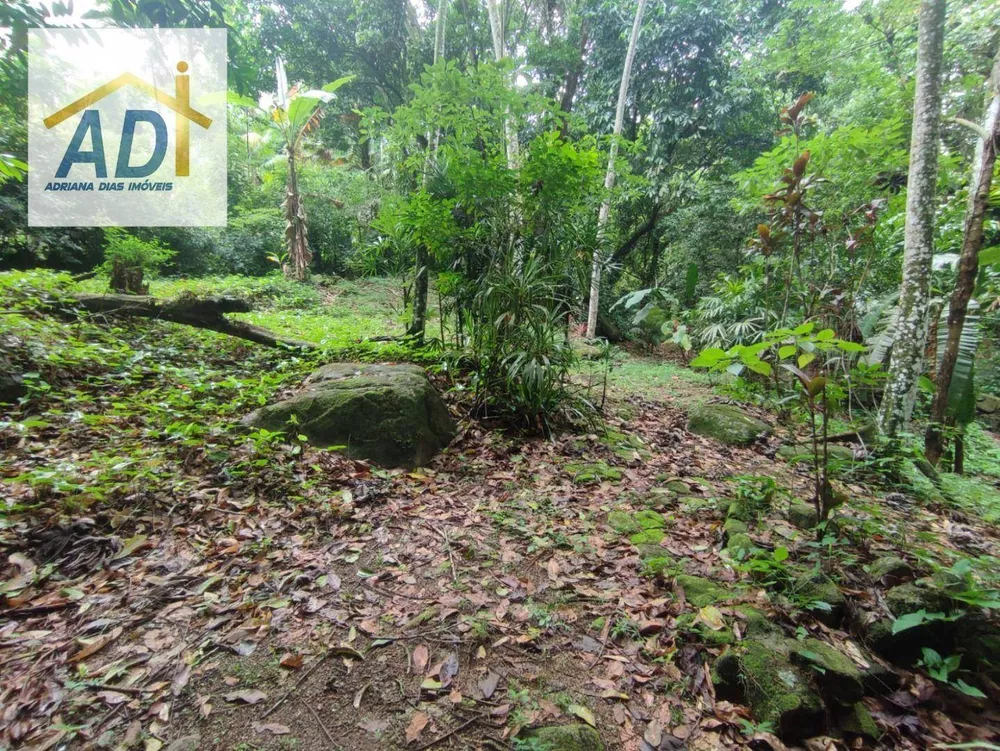 Sítio, 1 quarto, 6000 m² - Foto 17