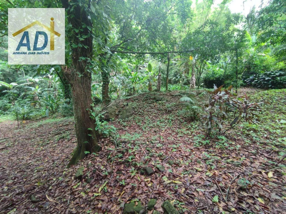 Sítio, 1 quarto, 6000 m² - Foto 23