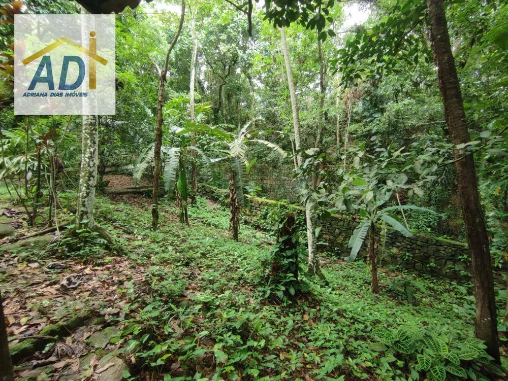 Sítio, 1 quarto, 6000 m² - Foto 29