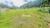 Terreno, 250 m² - Foto 2
