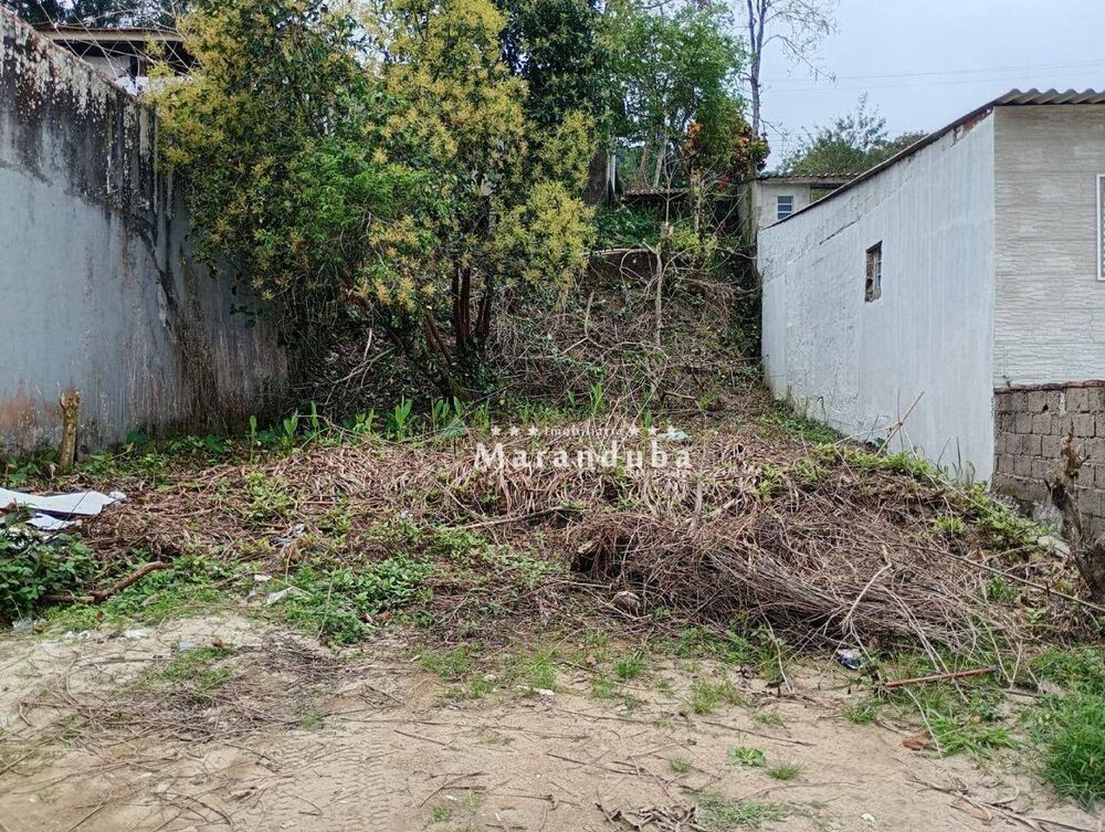 Terreno, 250 m² - Foto 1