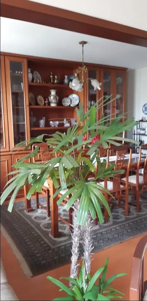Apartamento, 4 quartos, 171 m² - Foto 3