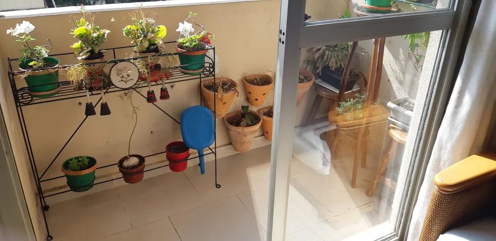 Apartamento, 2 quartos, 62 m² - Foto 3