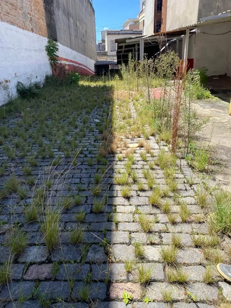 Terreno, 513 m² - Foto 1