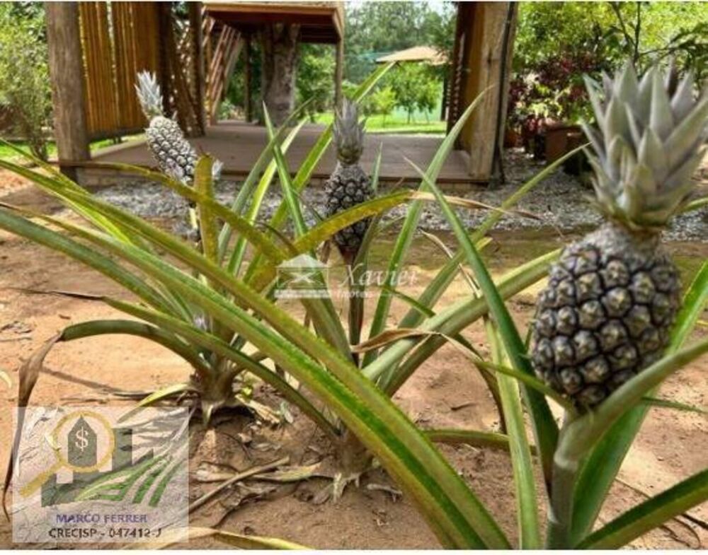 Chácara à venda com 6 quartos, 600m² - Foto 3