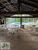 Casa, 5 quartos, 8600 m² - Foto 4