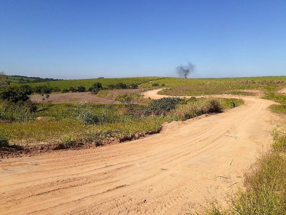 Terreno, 2 hectares - Foto 4