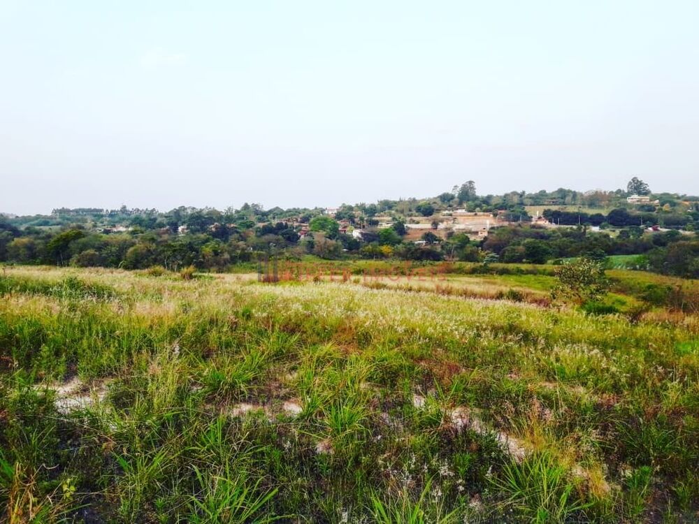 Terreno, 2 hectares - Foto 13