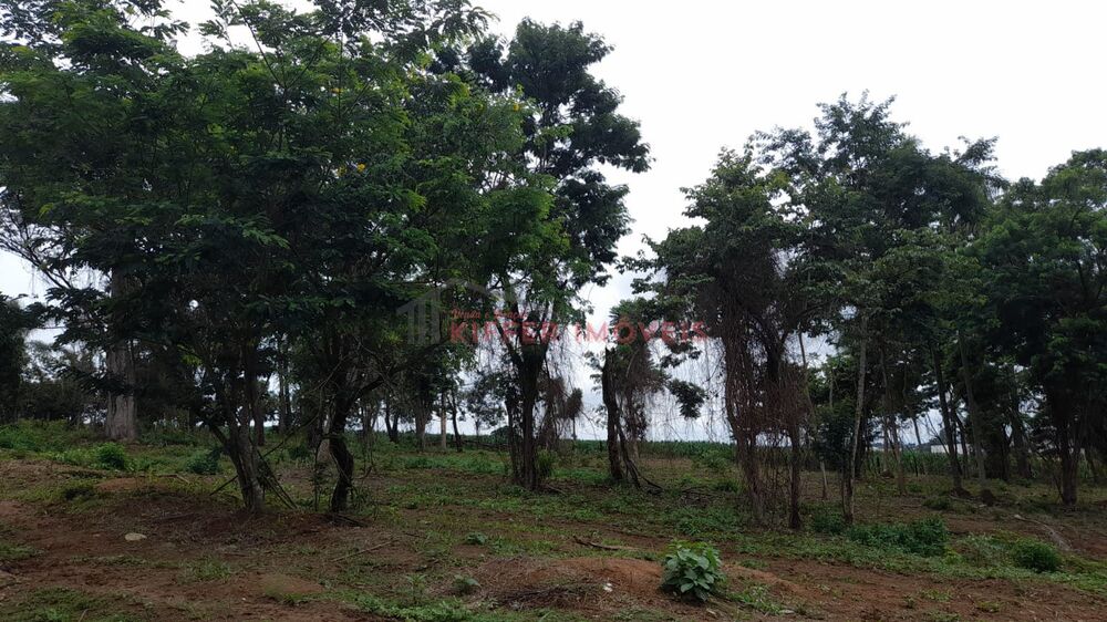 Terreno, 1130 m² - Foto 5