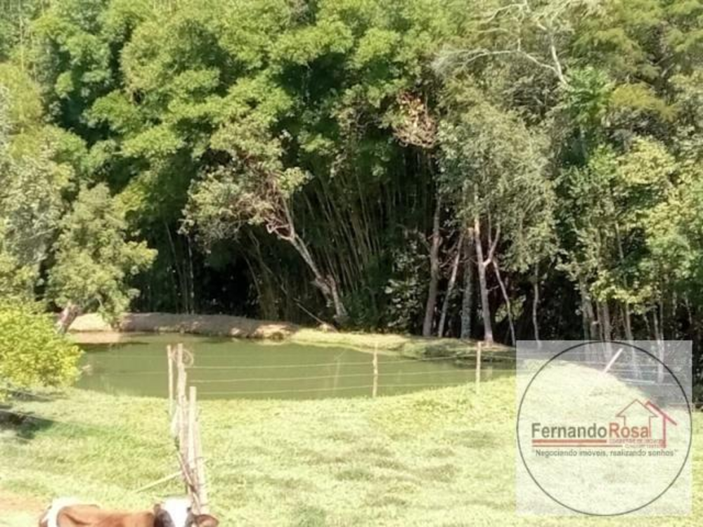 Sítio, 7 quartos, 10000 m² - Foto 10