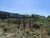 Terreno, 498 m² - Foto 5