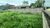 Terreno, 250 m² - Foto 3