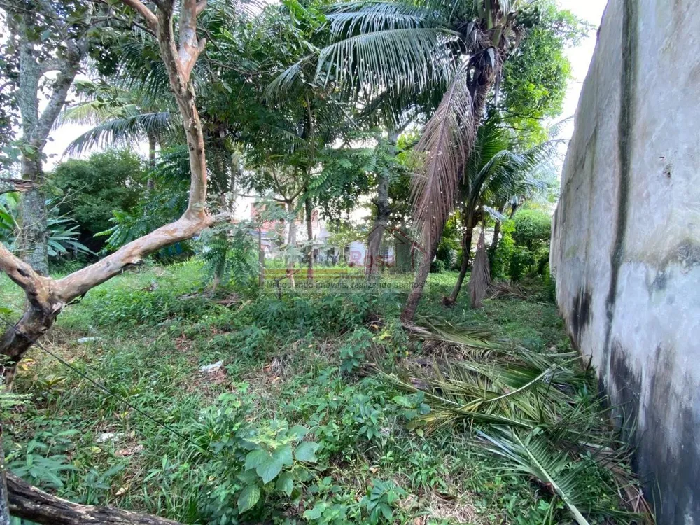 Terreno, 250 m² - Foto 4