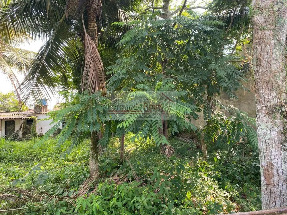 Terreno, 250 m² - Foto 1