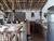 Casa, 3 quartos, 250 m² - Foto 13