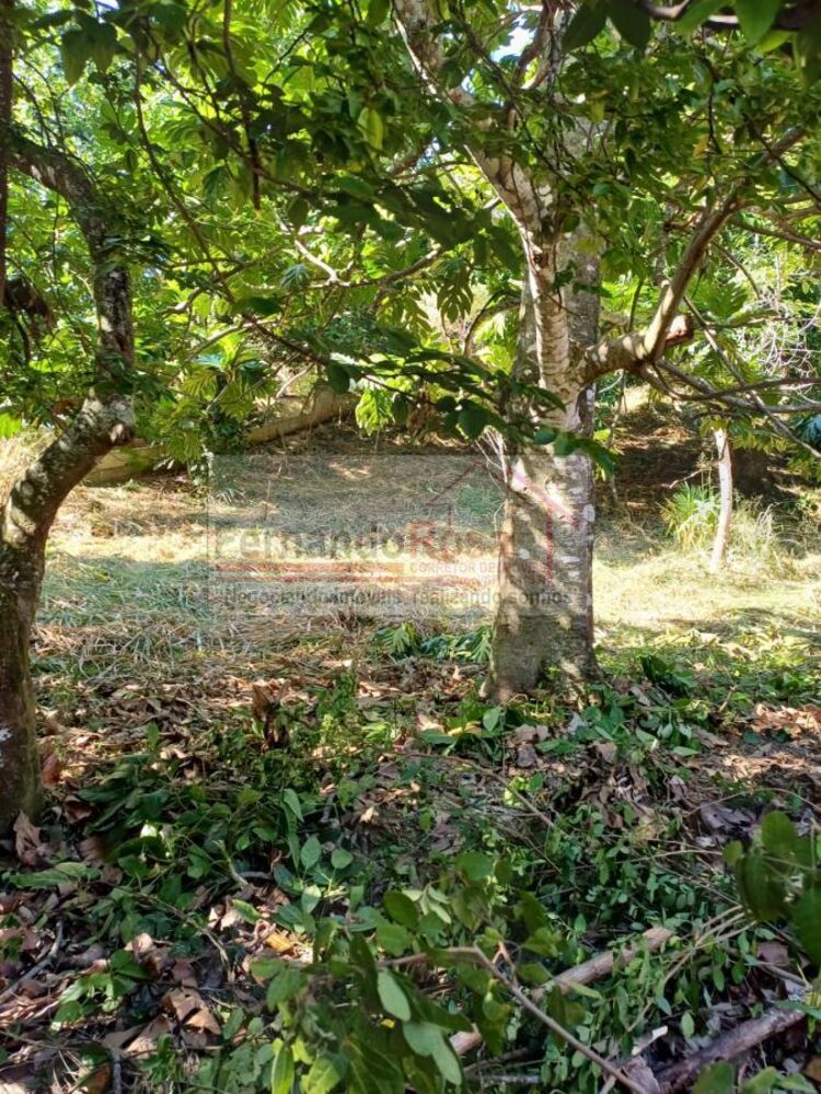 Terreno, 740 m² - Foto 11