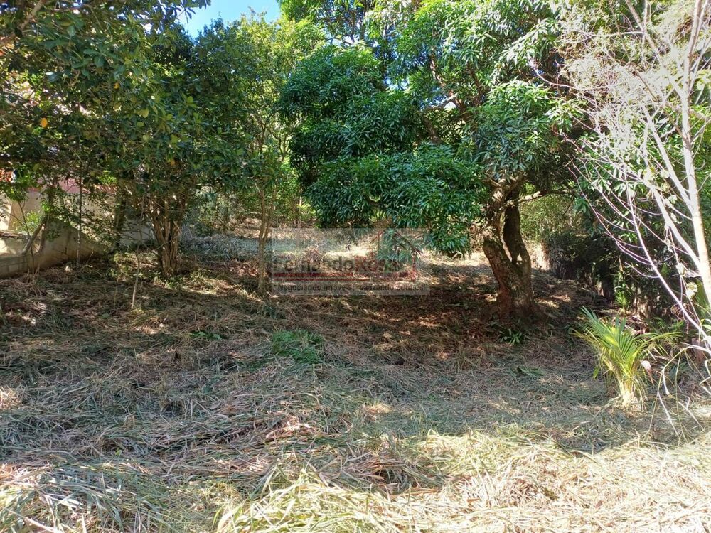 Terreno, 740 m² - Foto 6
