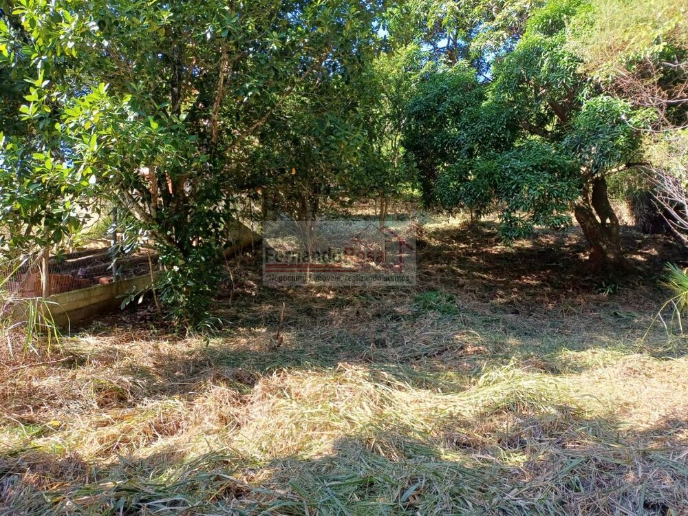 Terreno, 740 m² - Foto 4