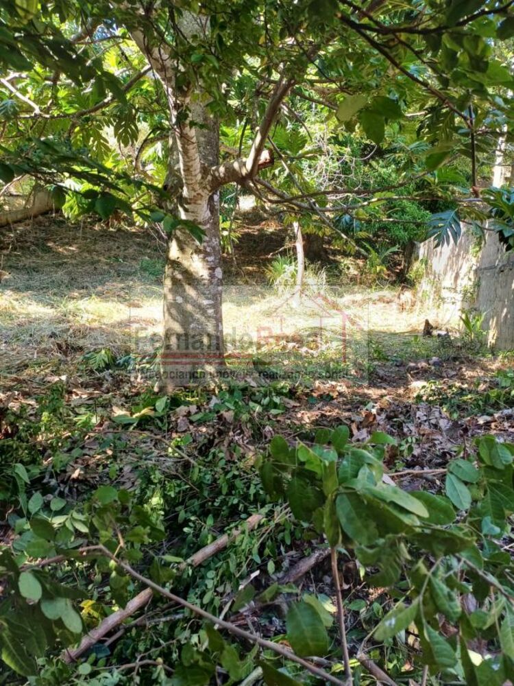 Terreno, 740 m² - Foto 12