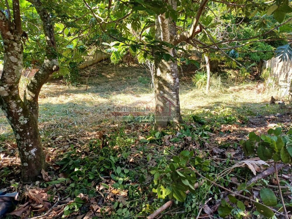 Terreno, 740 m² - Foto 8