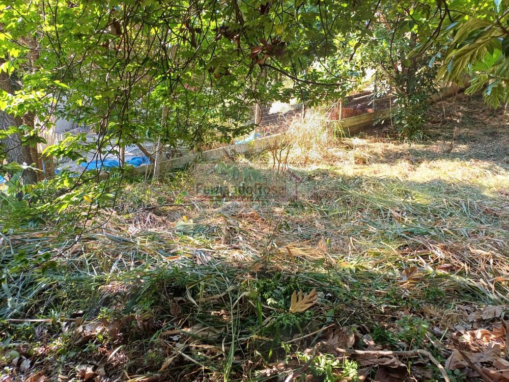 Terreno, 740 m² - Foto 3