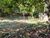 Terreno, 740 m² - Foto 2