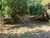 Terreno, 740 m² - Foto 4
