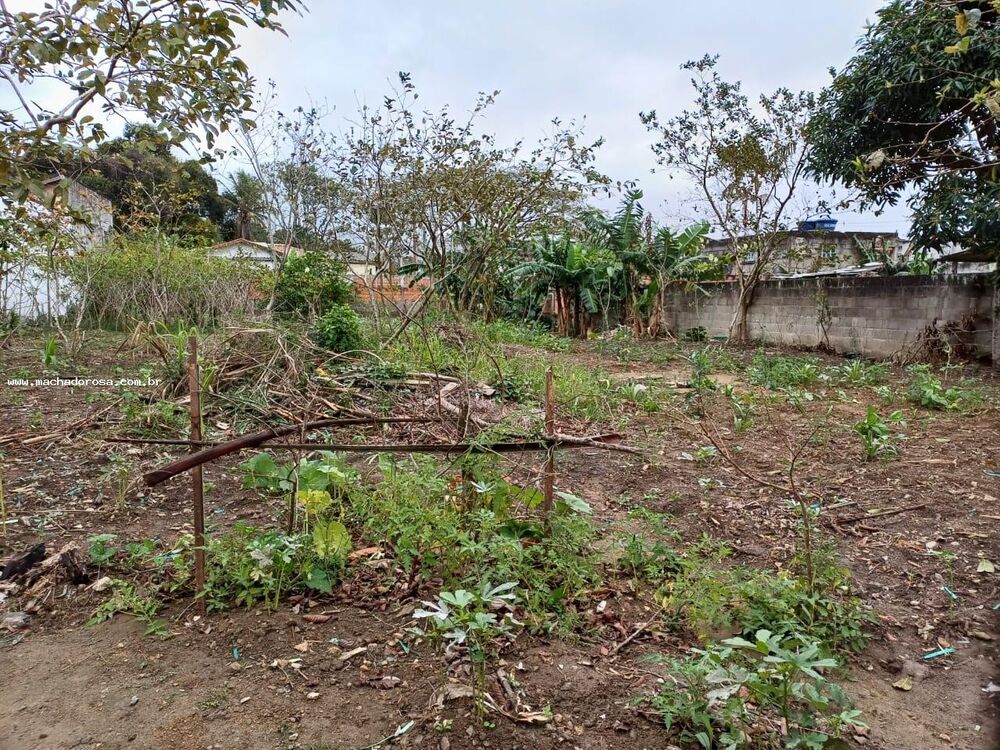 Terreno, 1000 m² - Foto 4