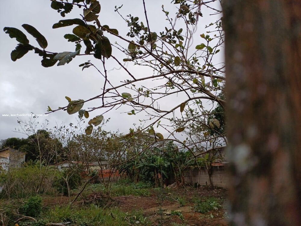 Terreno, 1000 m² - Foto 2