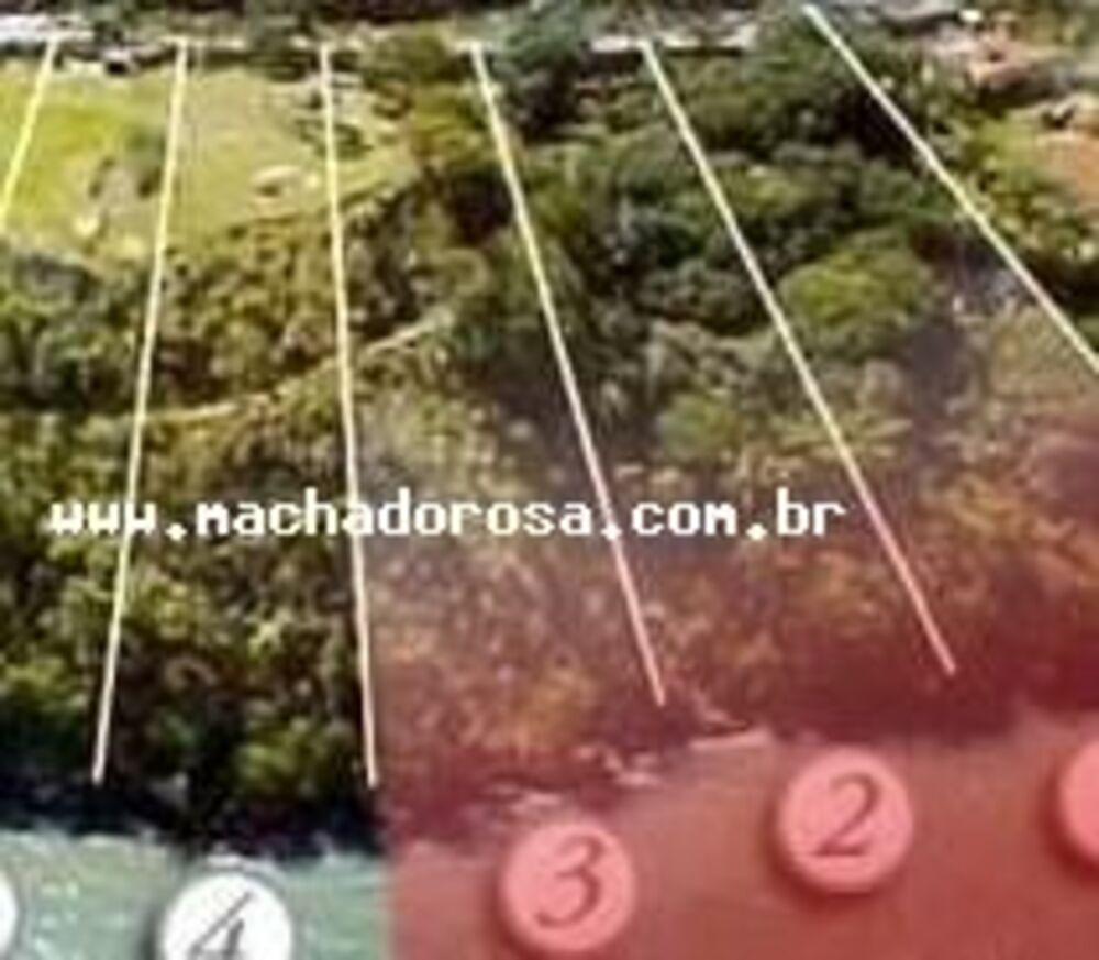 Terreno, 1950 m² - Foto 5