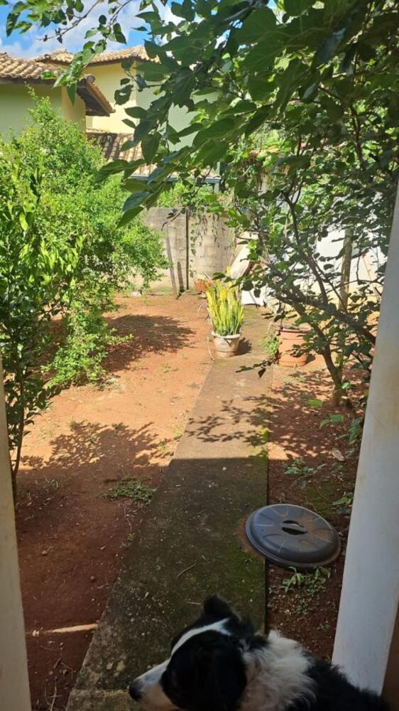 Chácara à venda, 1182m² - Foto 6