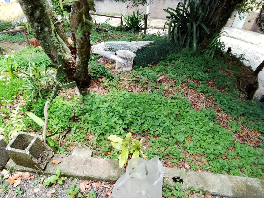 Terreno, 599 m² - Foto 4