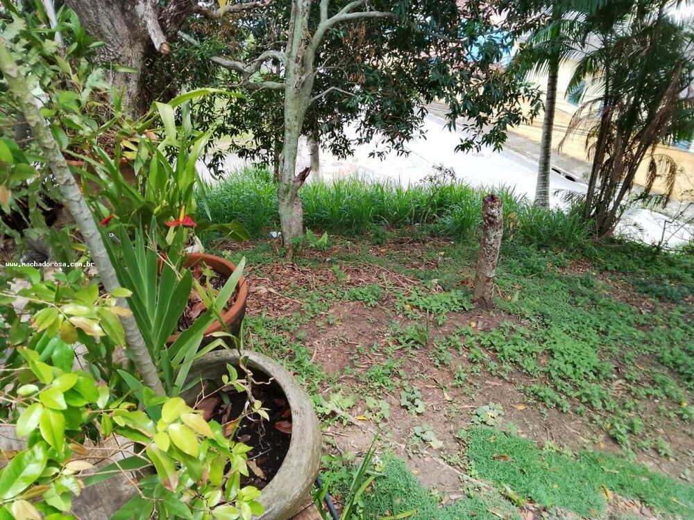 Terreno, 599 m² - Foto 2