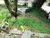 Terreno, 599 m² - Foto 4